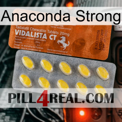 Anaconda Strong 42